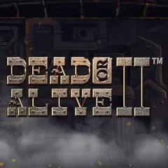 Dead or Alive 2 slot at Duelbits Casino