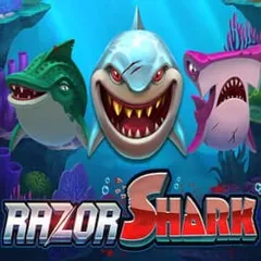 Razor Shark slot at Duelbits Casino