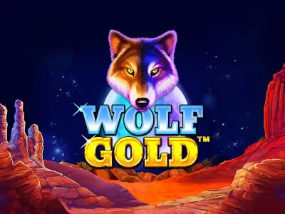 Wolf Gold slot at Duelbits Casino
